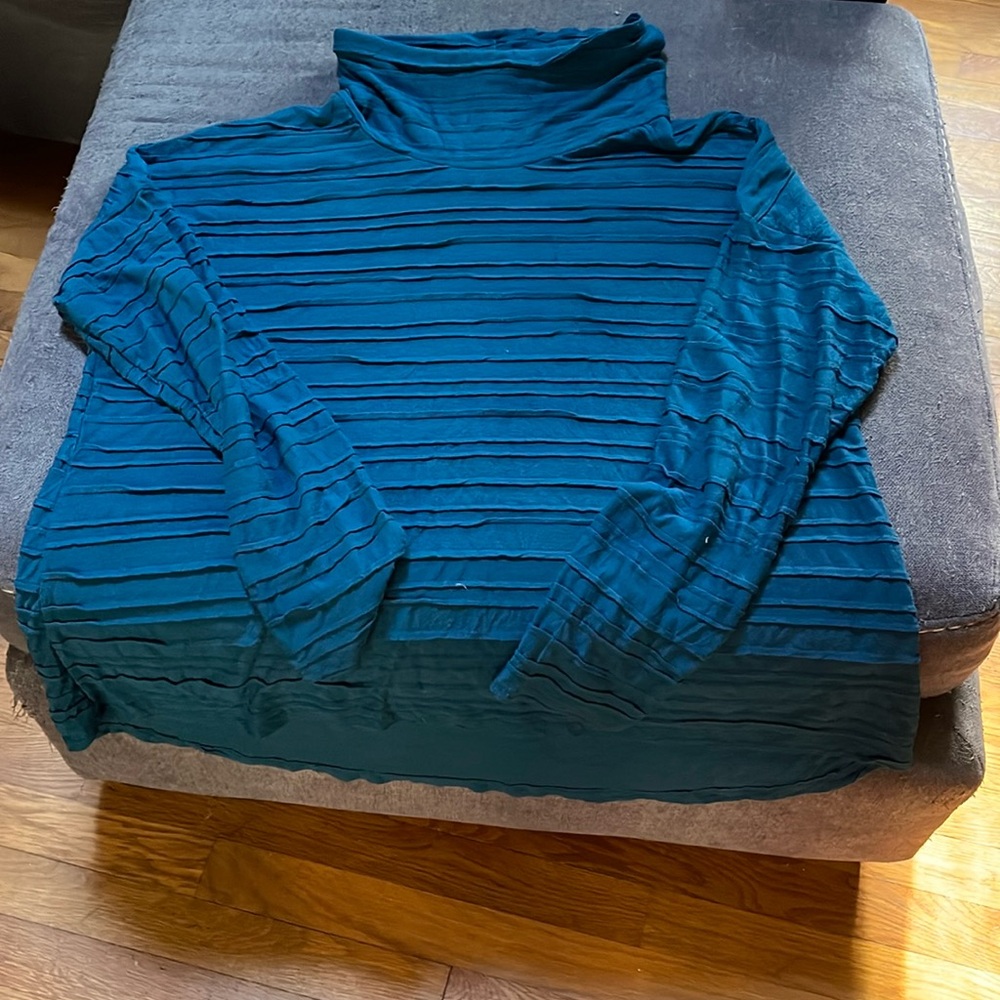 Chalet XL teal turtleneck in GUC.
